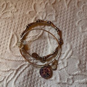 Alex and Ani Silver Bracelet with Purple Charm